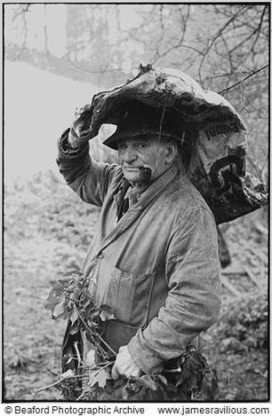 archie parkhouse with ivy for sheep, millhams dolton, Devon, England 1975