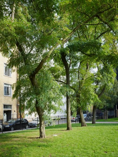 Altab Ali Park, Adler Street Whitechapel ©Keith Greenough 2013