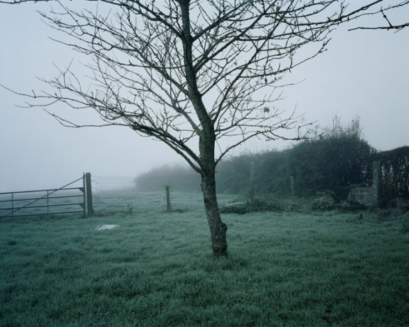 Six Farm, Loker, West-Vlaanderen Private Joseph Byers and Private Andrew Evans (06 February 1915, time unknown); Private George E Collins (15 February 1915 at 7.30am)